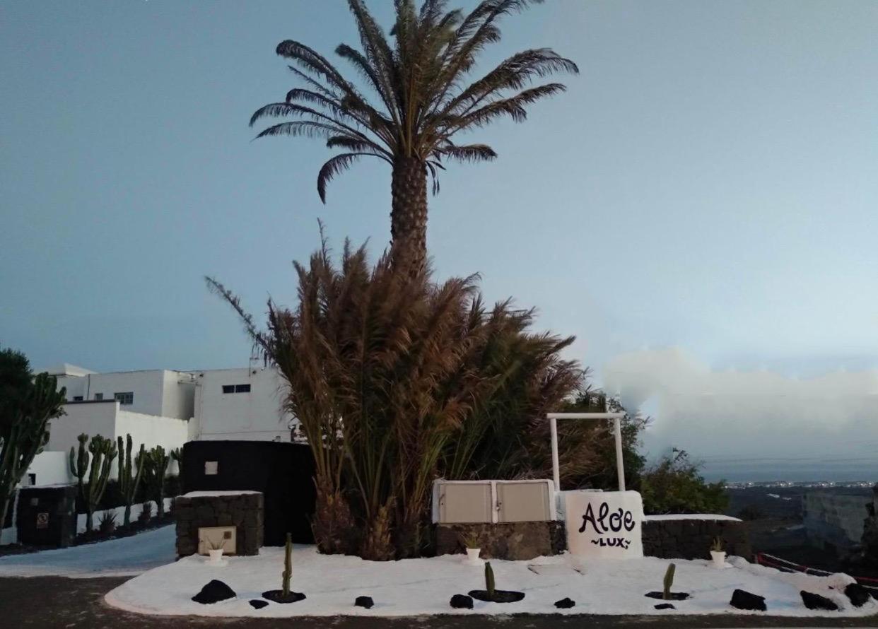 Aloelux Villa ! - Private Villa With Jacuzzi, Cinema ,Massage ,Wonderful View, Art Desing Villa Conil Exterior foto
